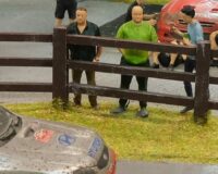 Fig 29 behind a fence